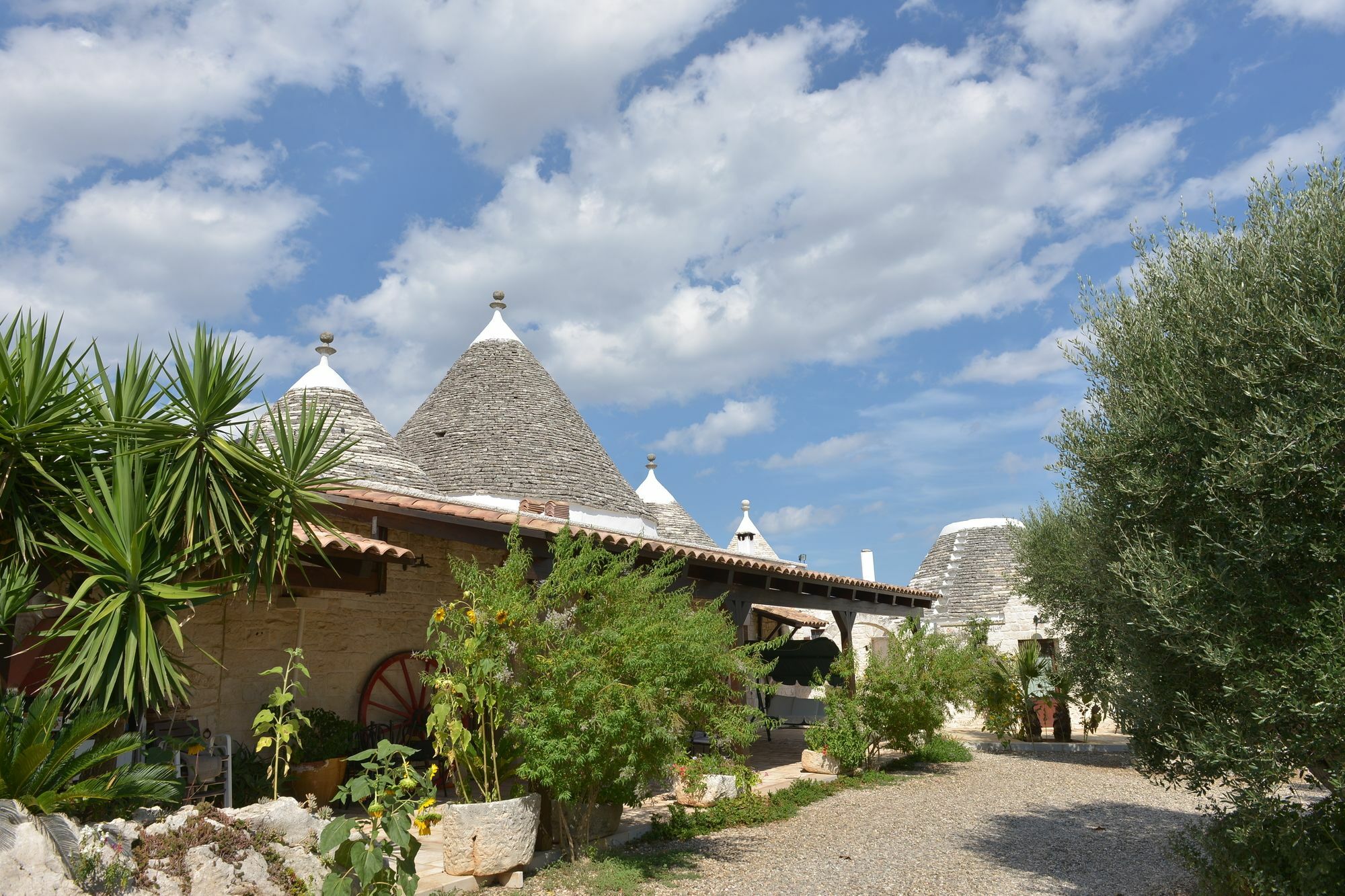 Masseria Pentima Vetrana Resort อัลเบโรเบลโล ภายนอก รูปภาพ