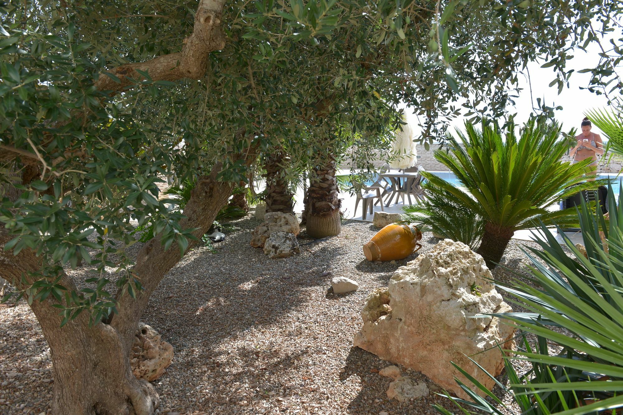 Masseria Pentima Vetrana Resort อัลเบโรเบลโล ภายนอก รูปภาพ